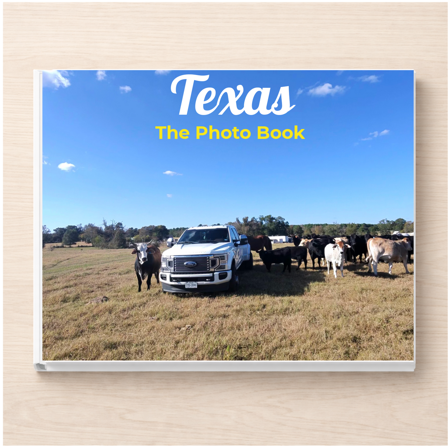 Texas: The Photo Book