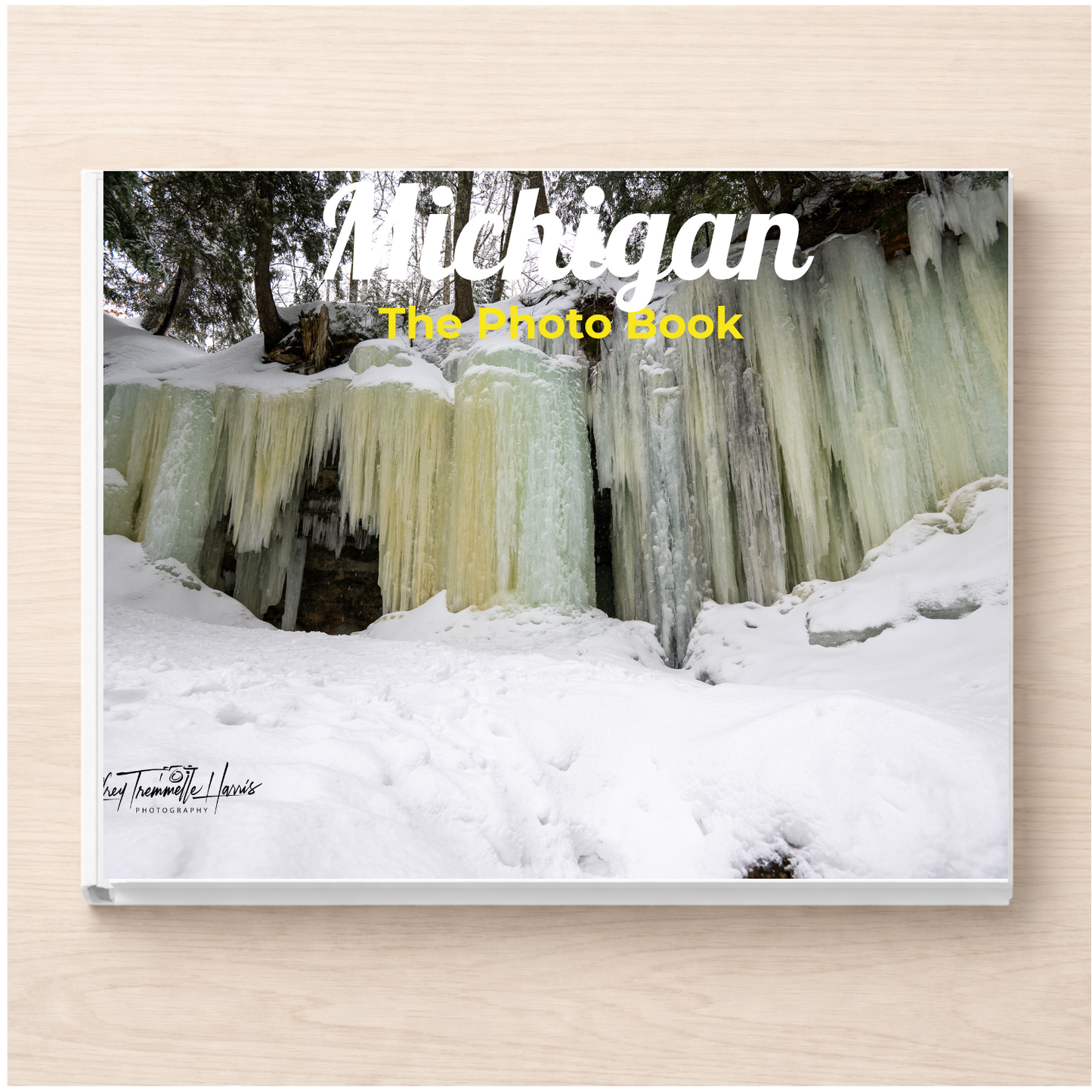 Michigan: The Photo Book
