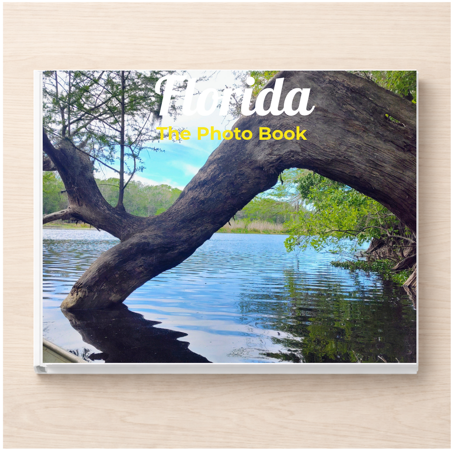 Florida: The Photo Book