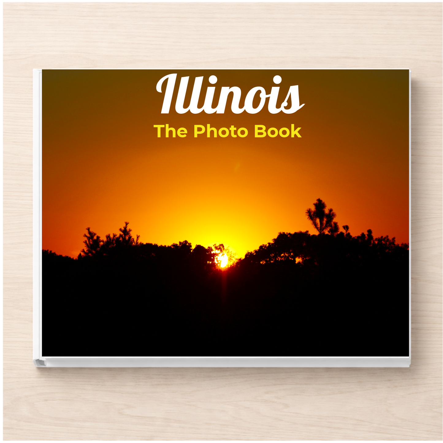 Illinois: The Photo Book