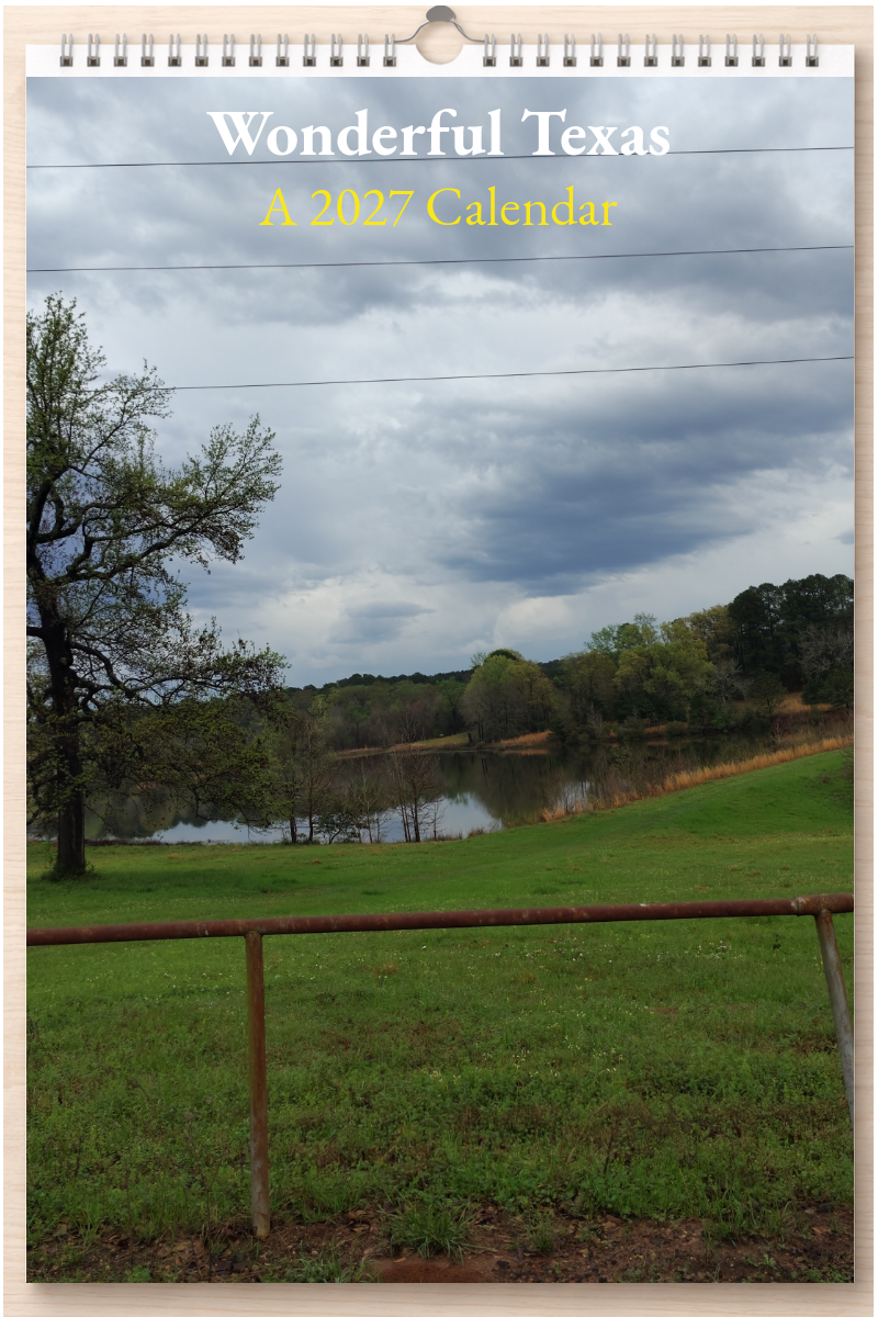 Wonderful Texas: A 2027 Calendar