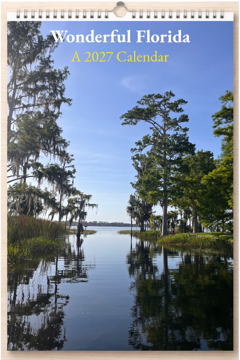Wonderful Florida: A 2027 Calendar