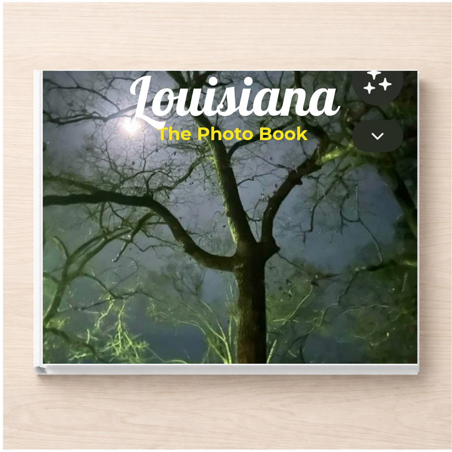 Louisiana: The Photo Book