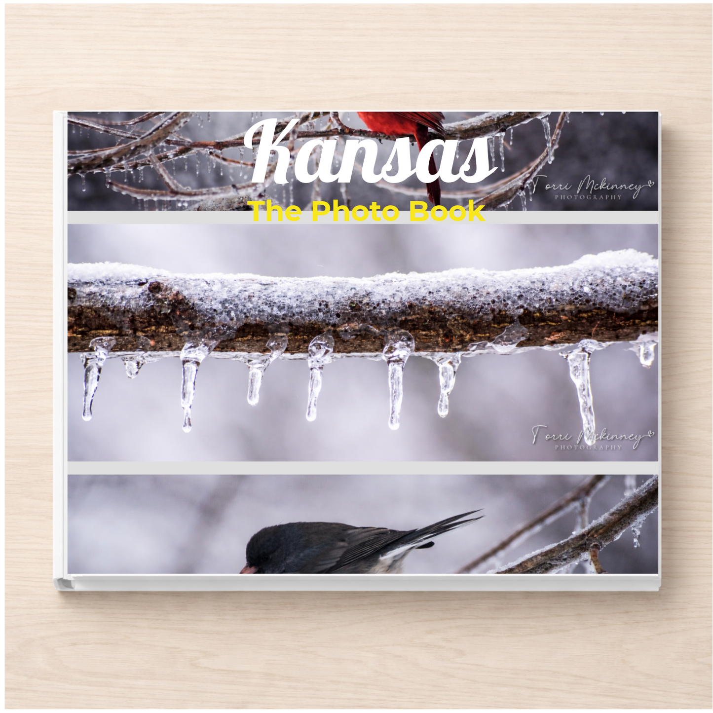 Kansas: The Photo Book
