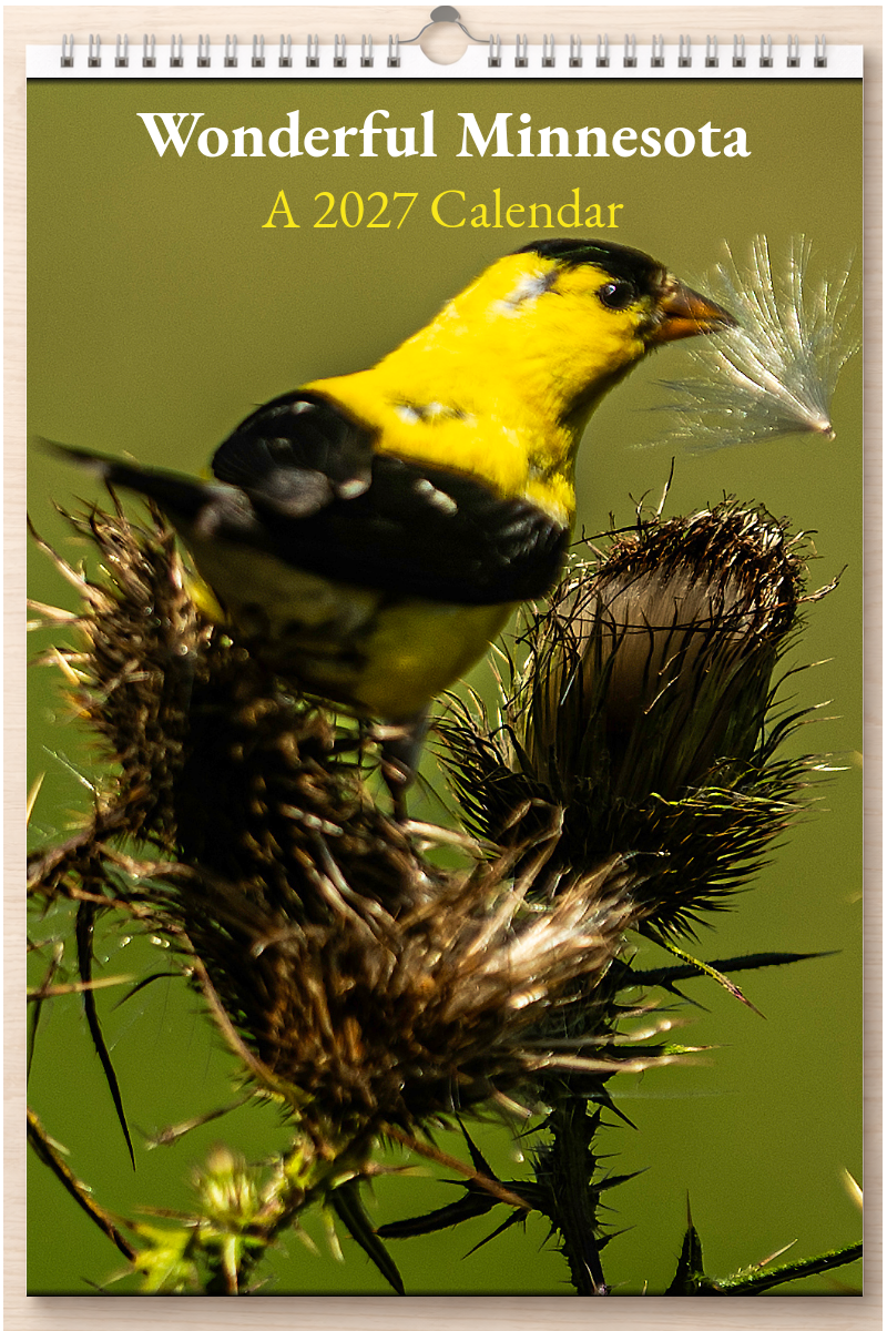 Wonderful Minnesota: A 2027 Calendar