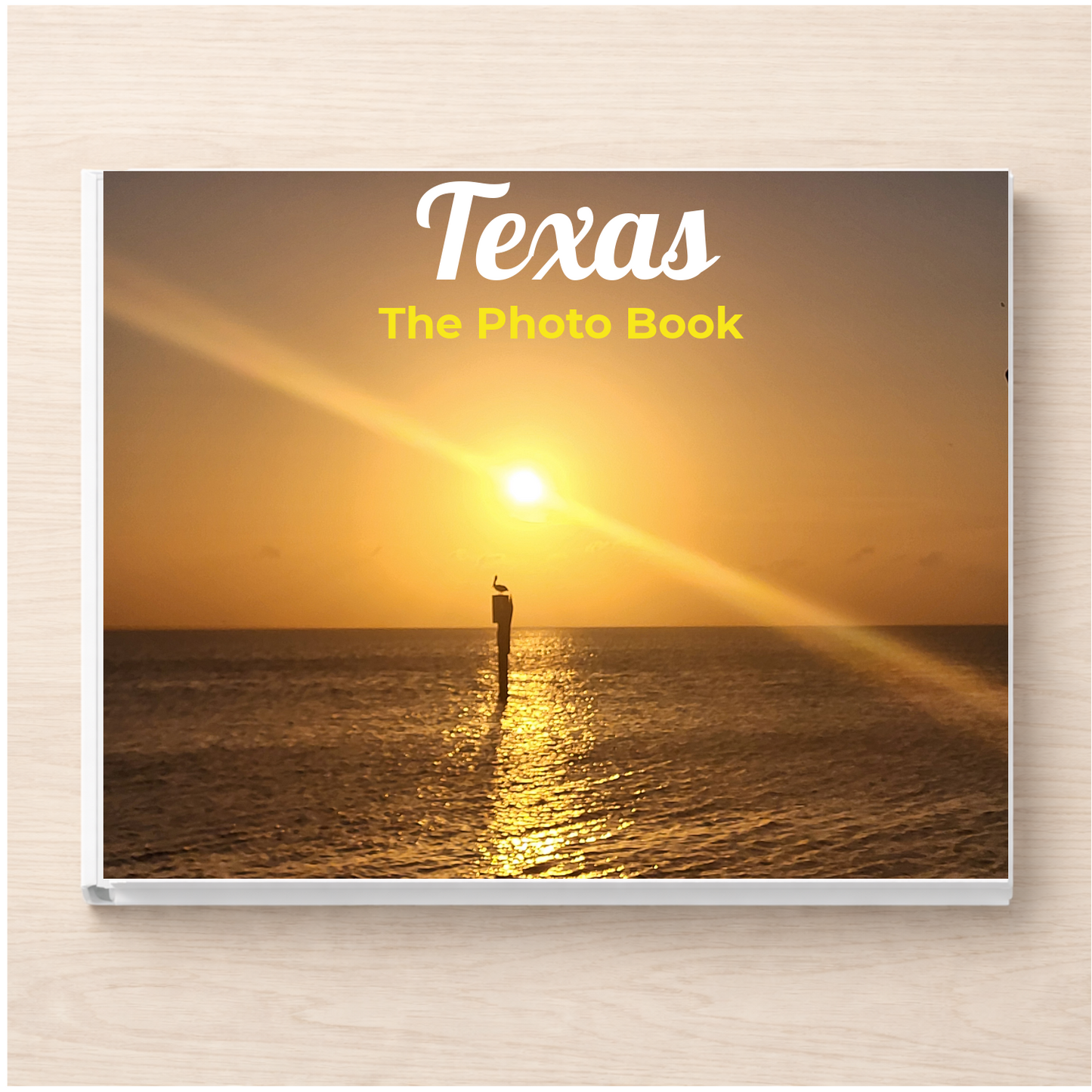 Texas: The Photo Book