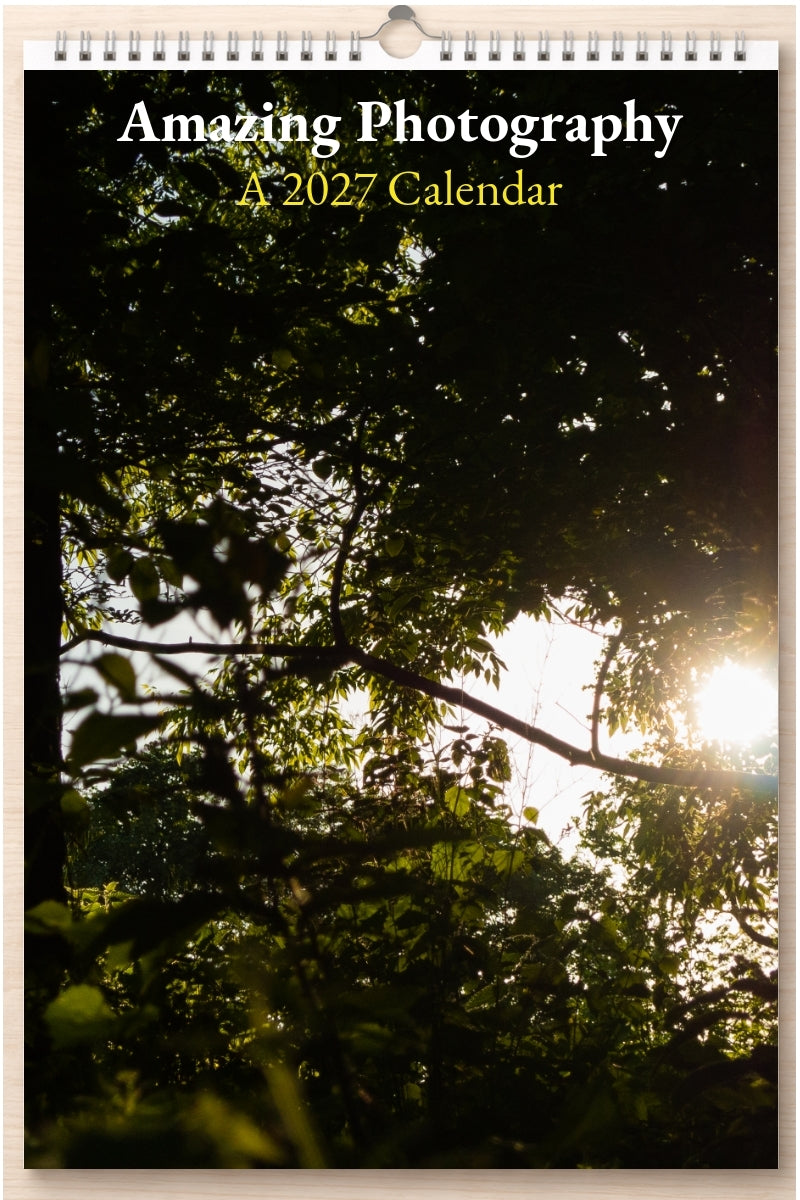 Amazing Photography: A 2027 Calendar