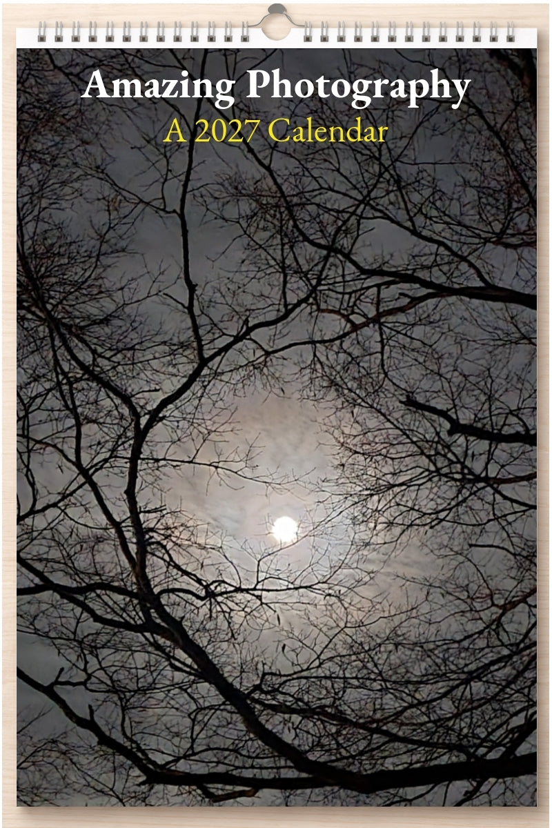 Amazing Photography: A 2027 Calendar