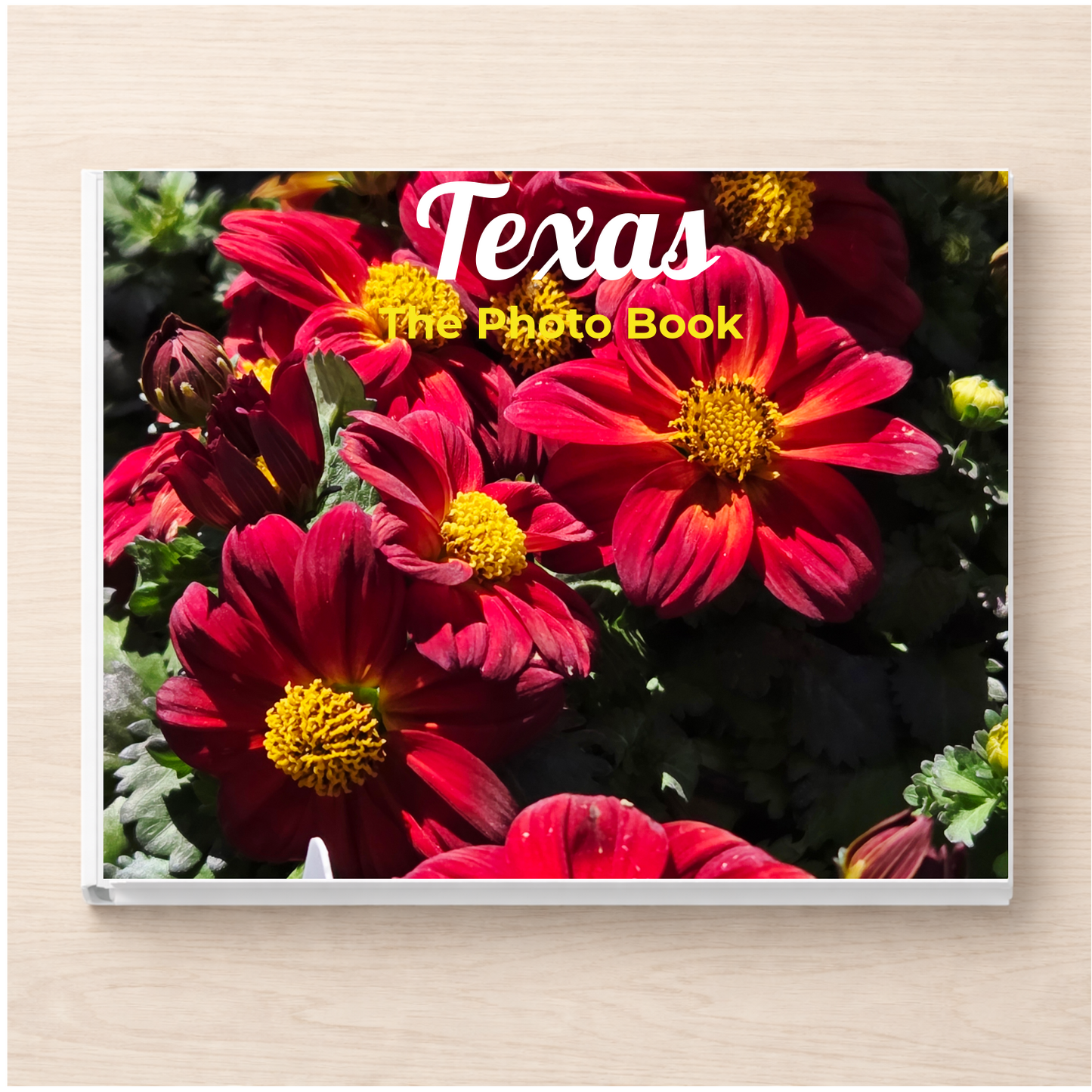 Texas: The Photo Book