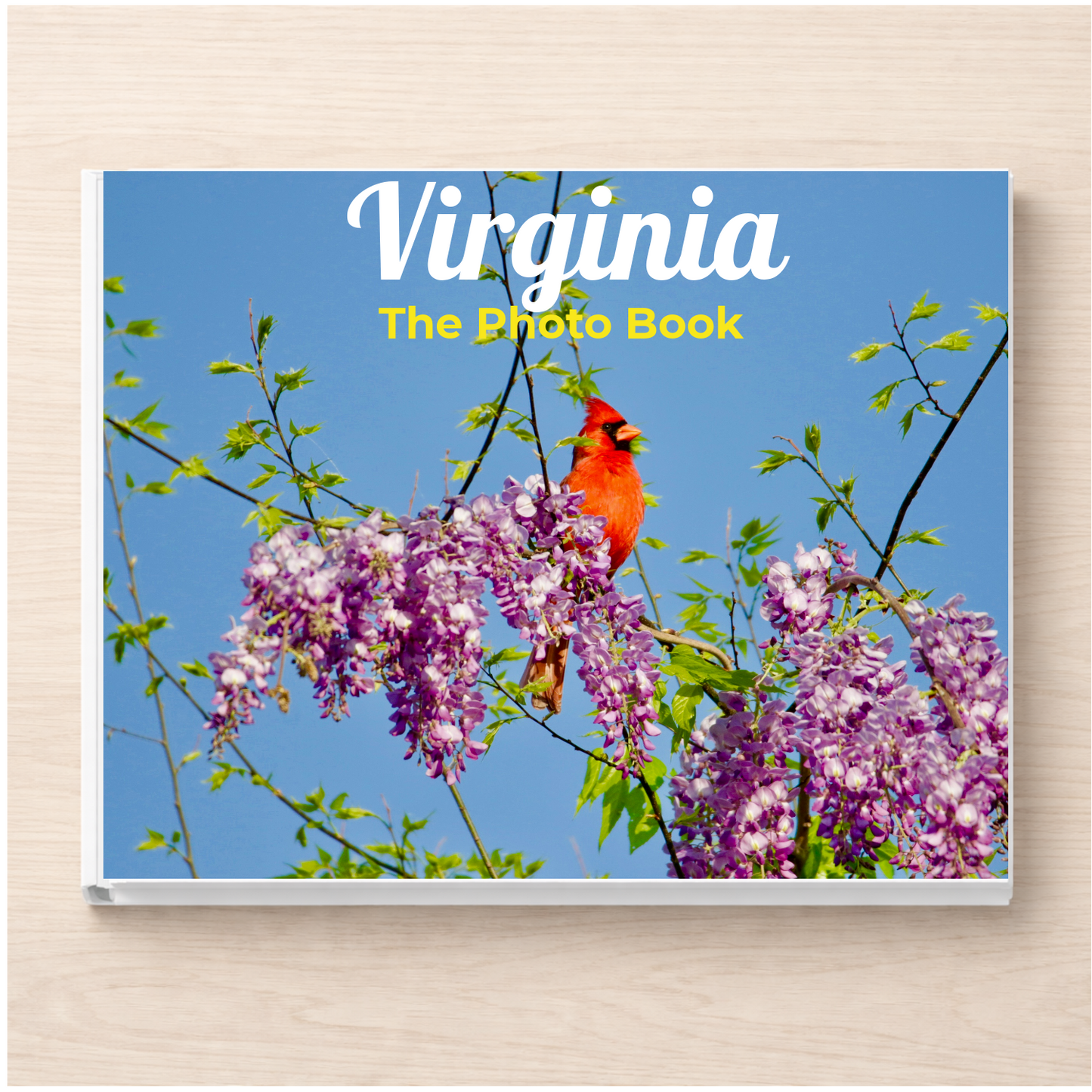 Virginia: The Photo Book
