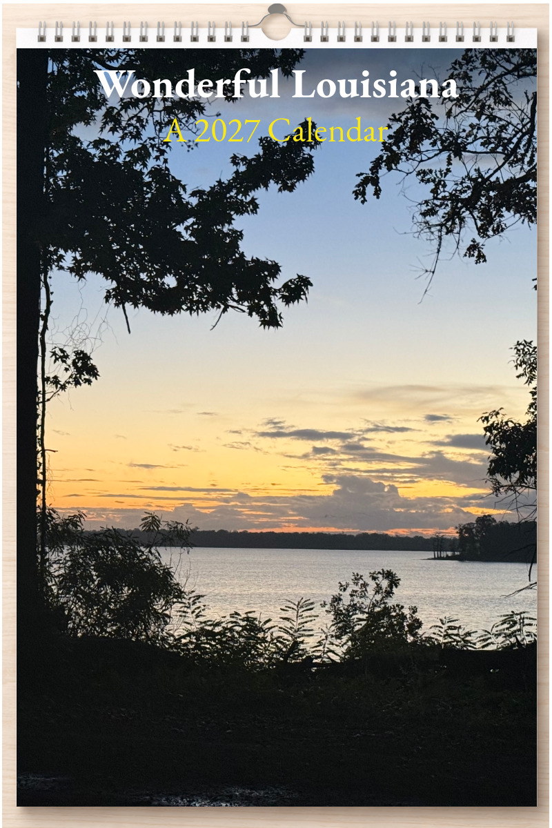 Wonderful Louisiana: A 2027 Calendar