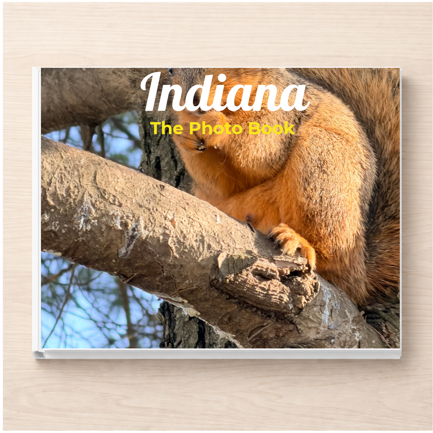 Indiana: The Photo Book
