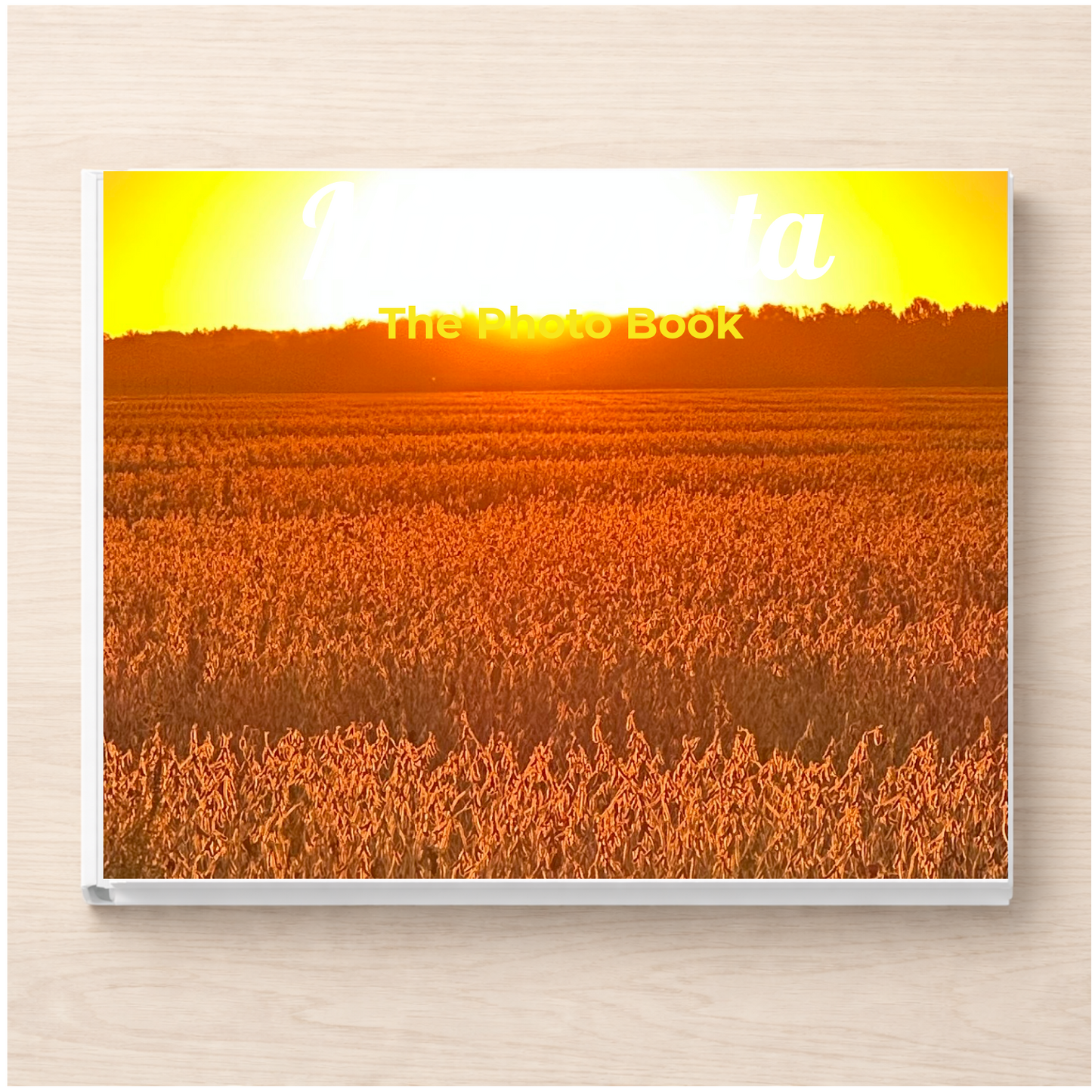 Minnesota: The Photo Book