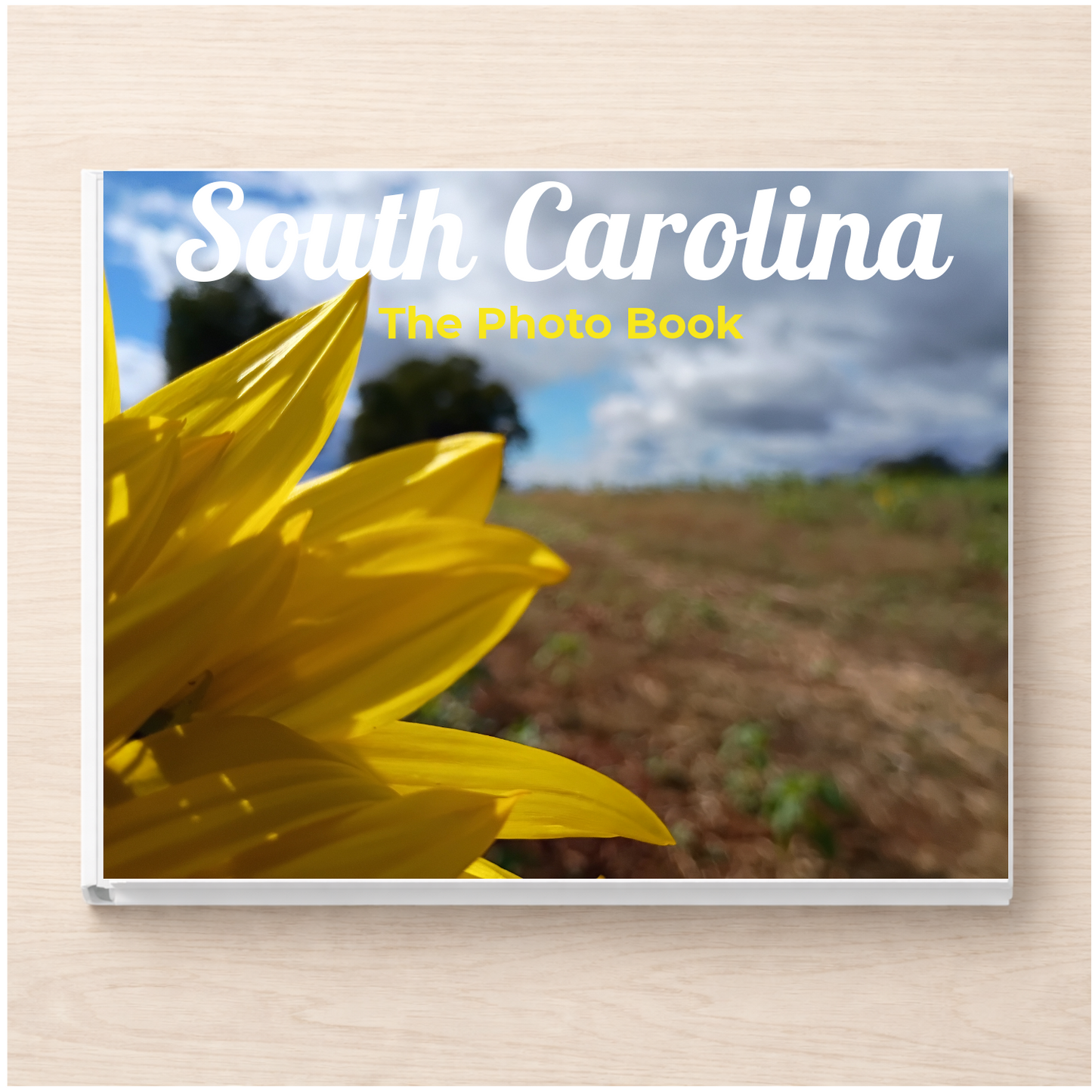South Carolina: The Photo Book
