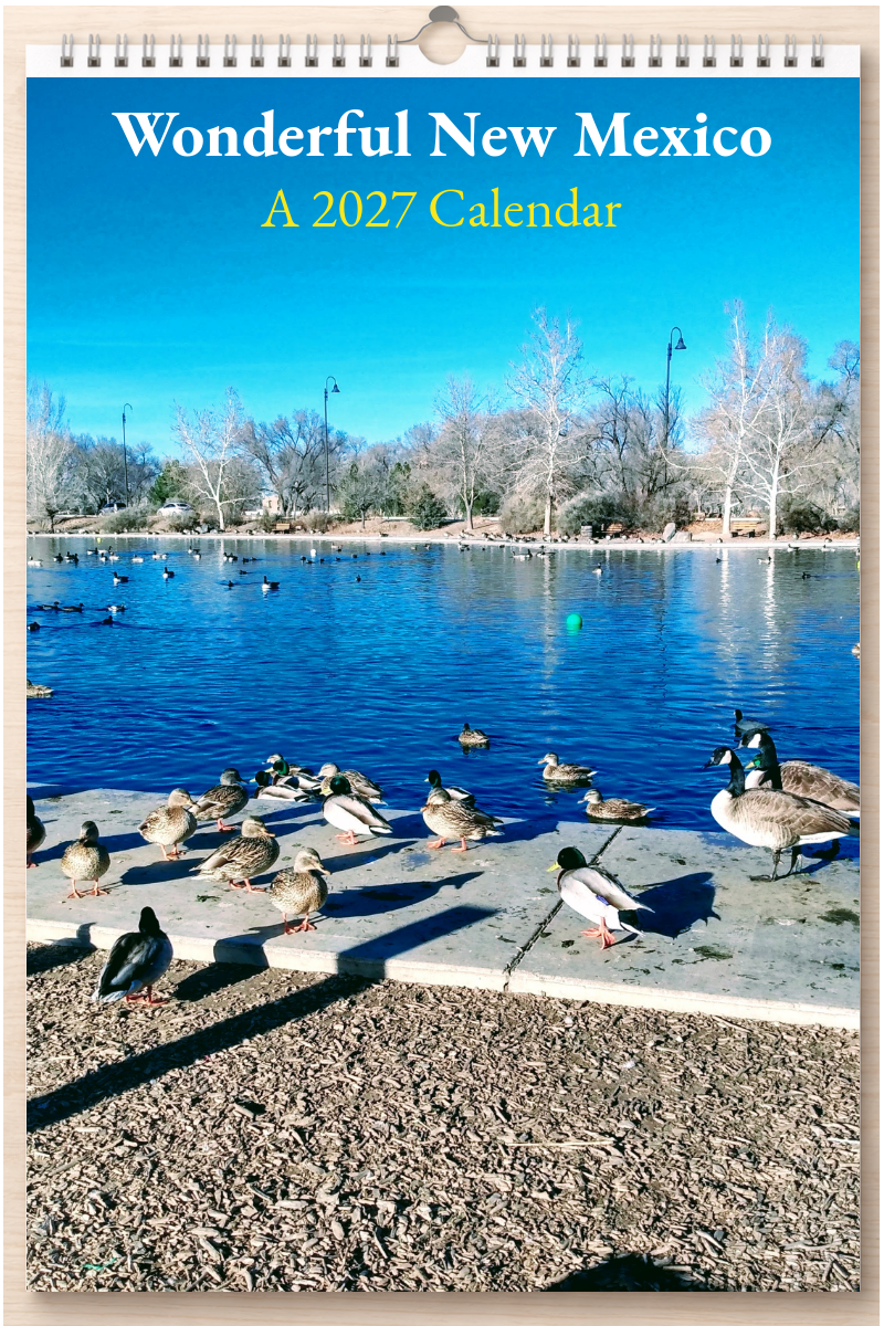Wonderful New Mexico: A 2027 Calendar