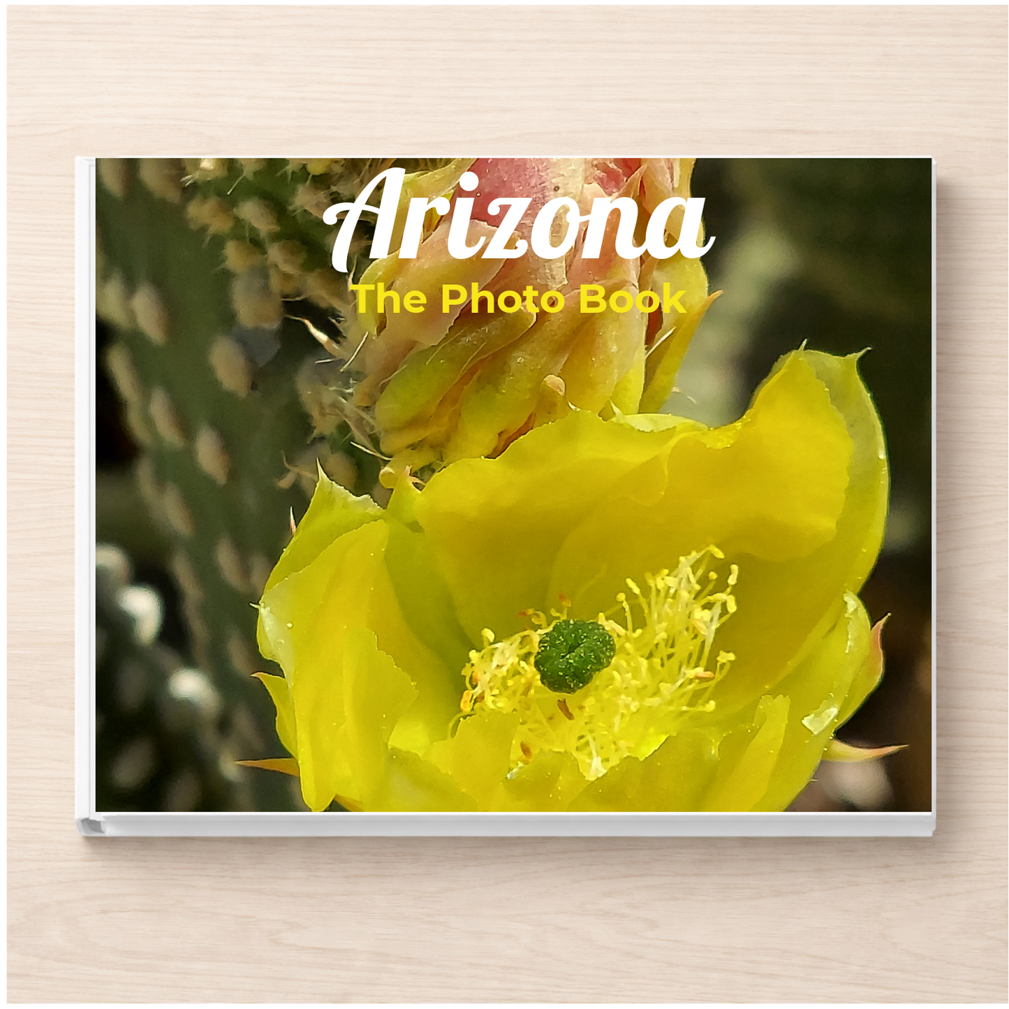Arizona: The Photo Book