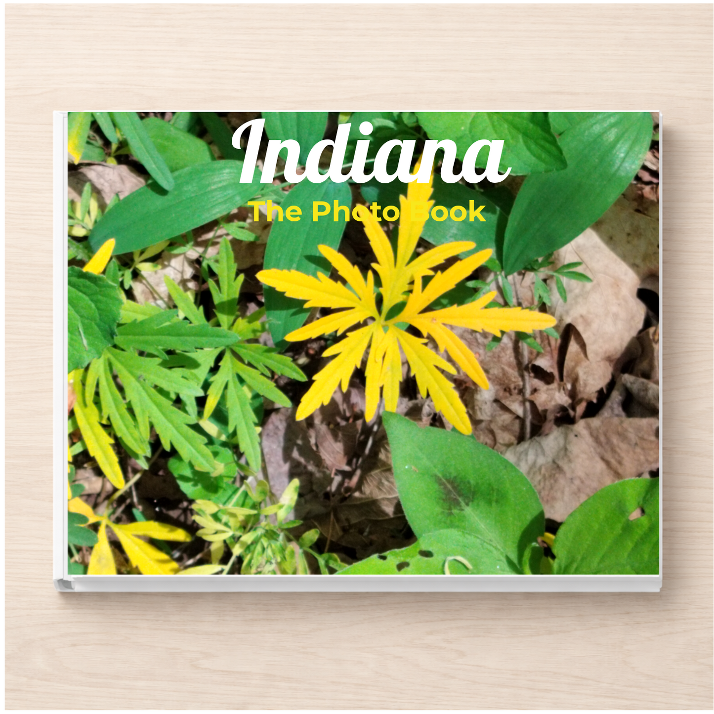 Indiana: The Photo Book