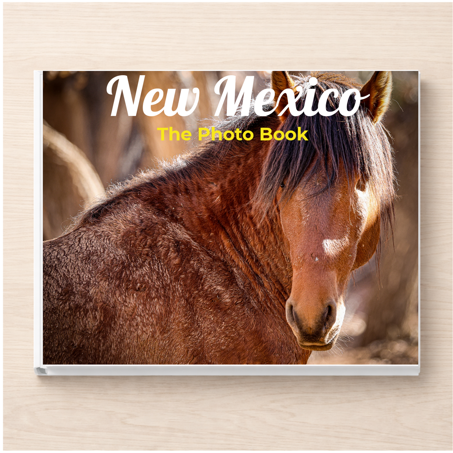 New Mexico: The Photo Book