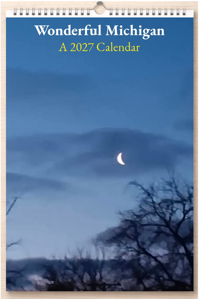 Wonderful Michigan: A 2027 Calendar