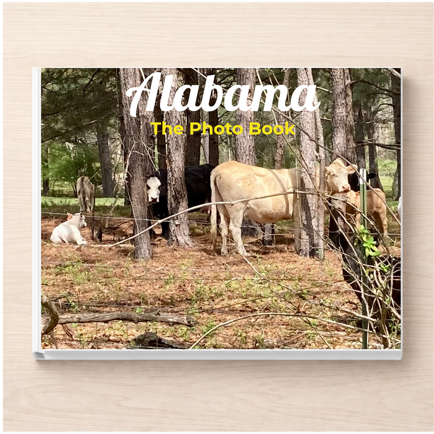 Alabama: The Photo Book
