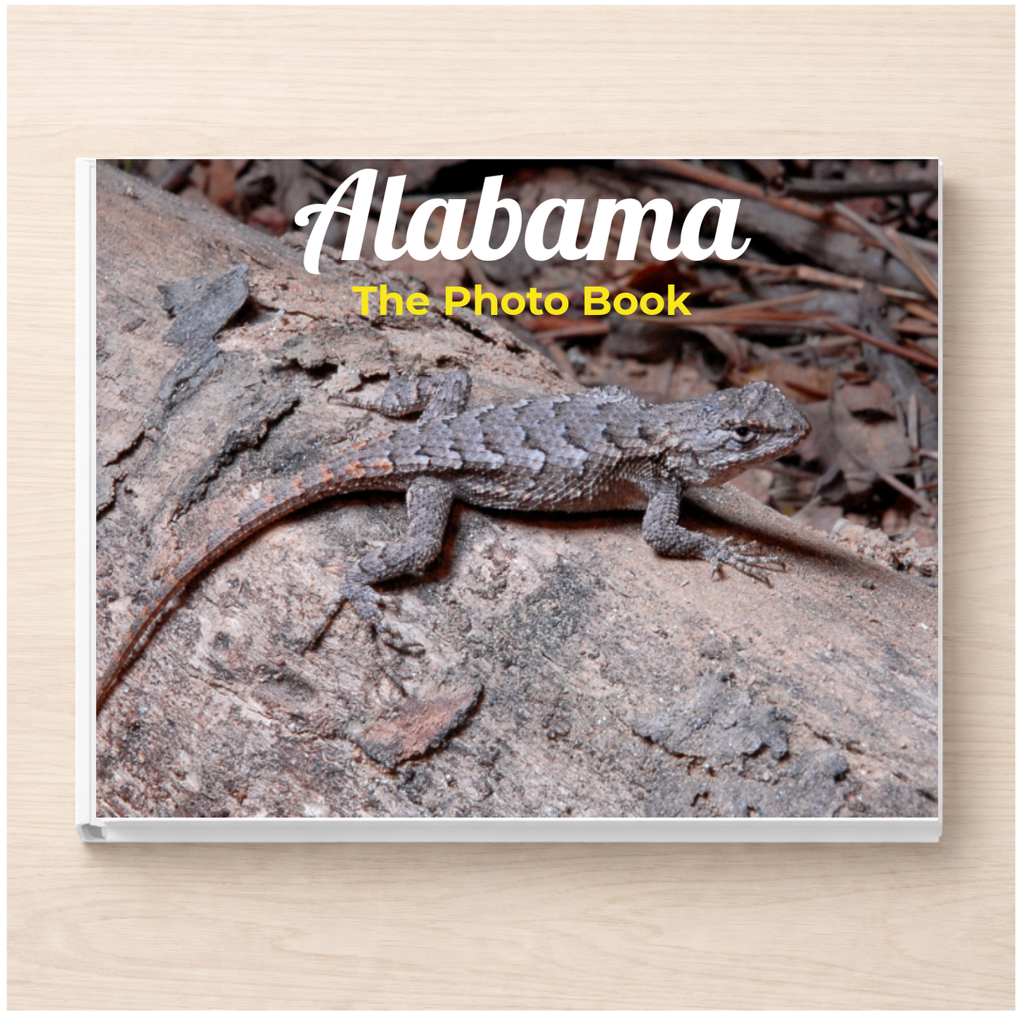 Alabama: The Photo Book