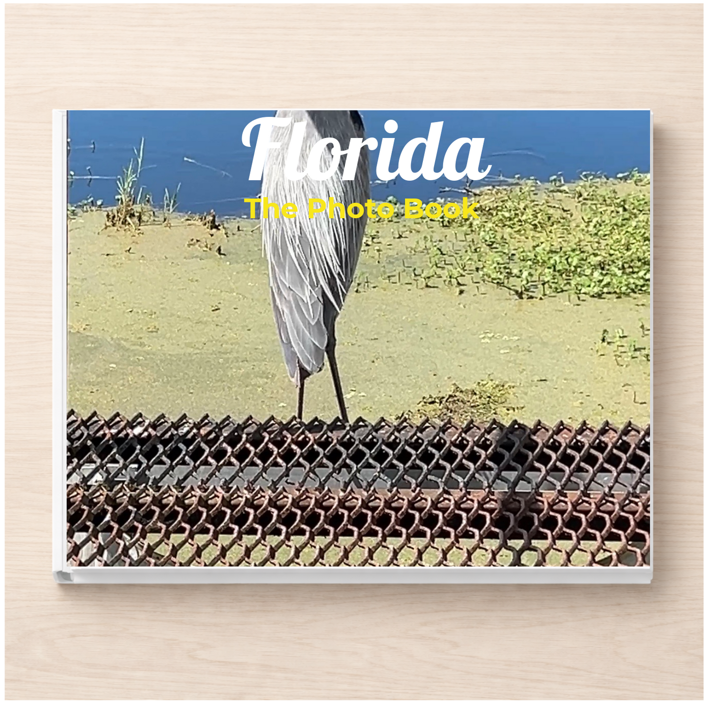 Florida: The Photo Book