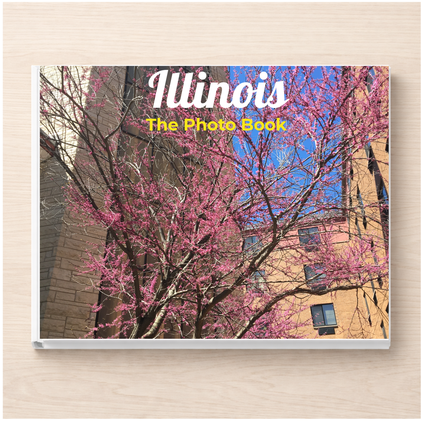 Illinois: The Photo Book