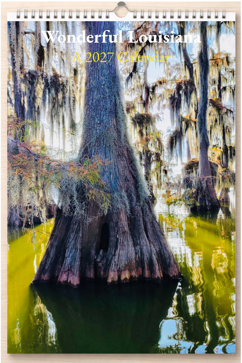 Wonderful Louisiana: A 2027 Calendar