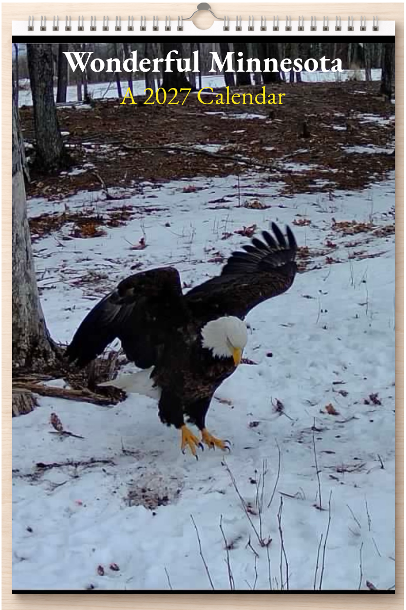 Wonderful Minnesota: A 2027 Calendar