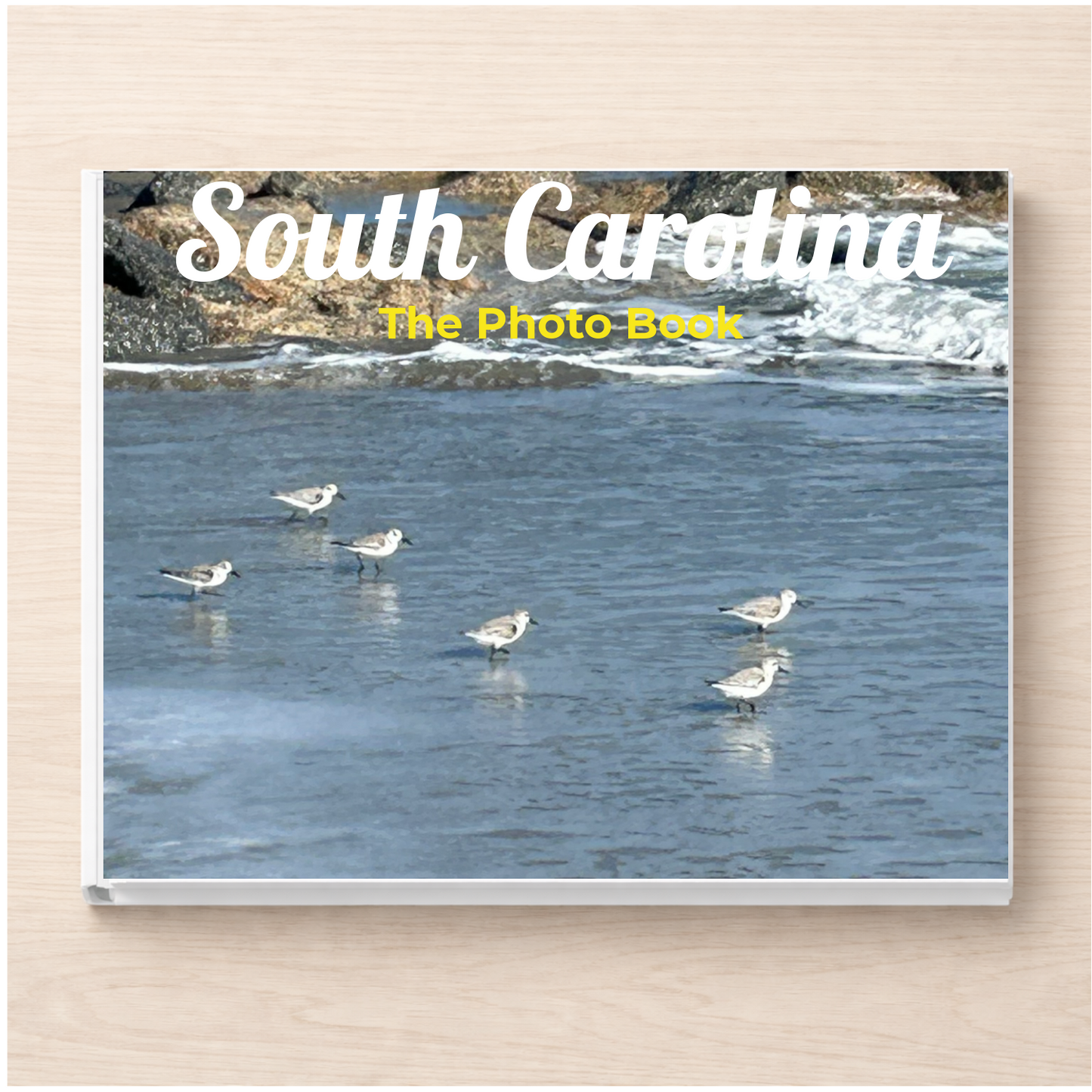 South Carolina: The Photo Book