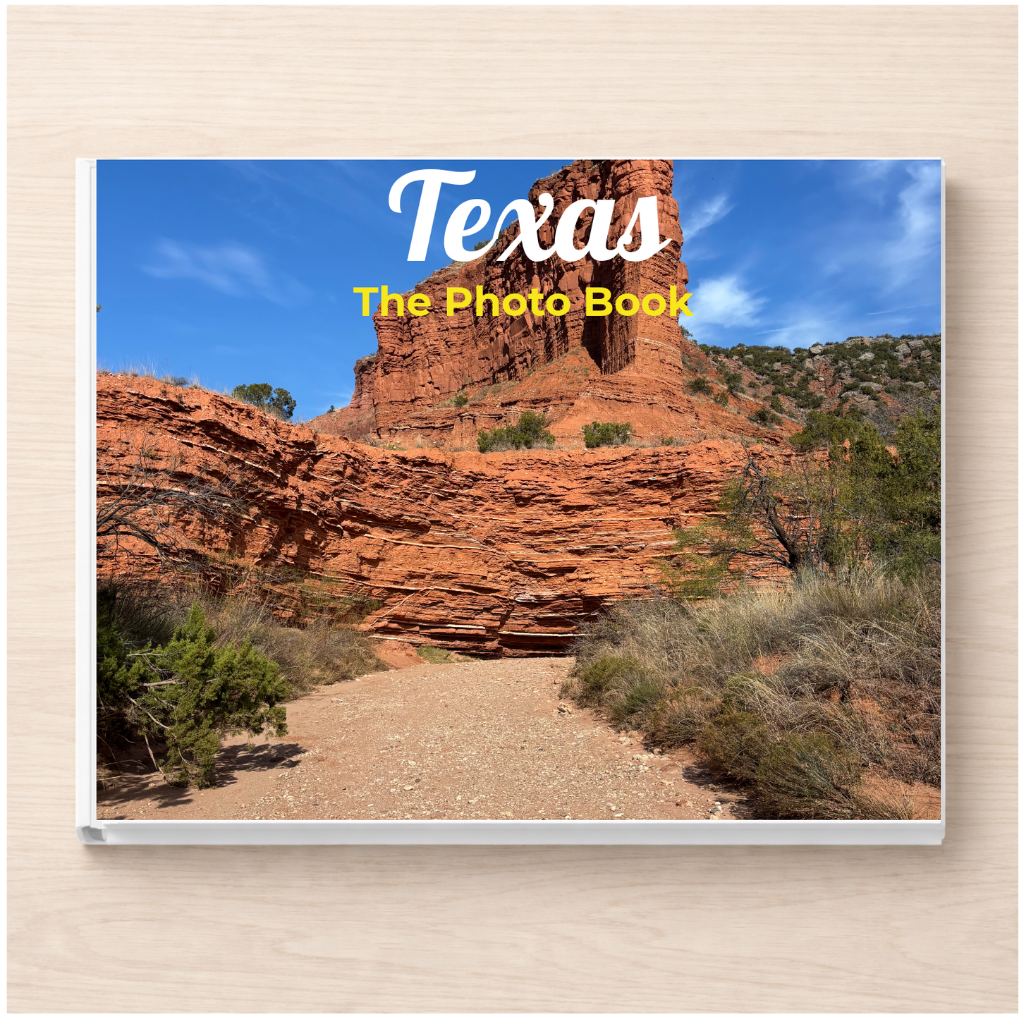 Texas: The Photo Book