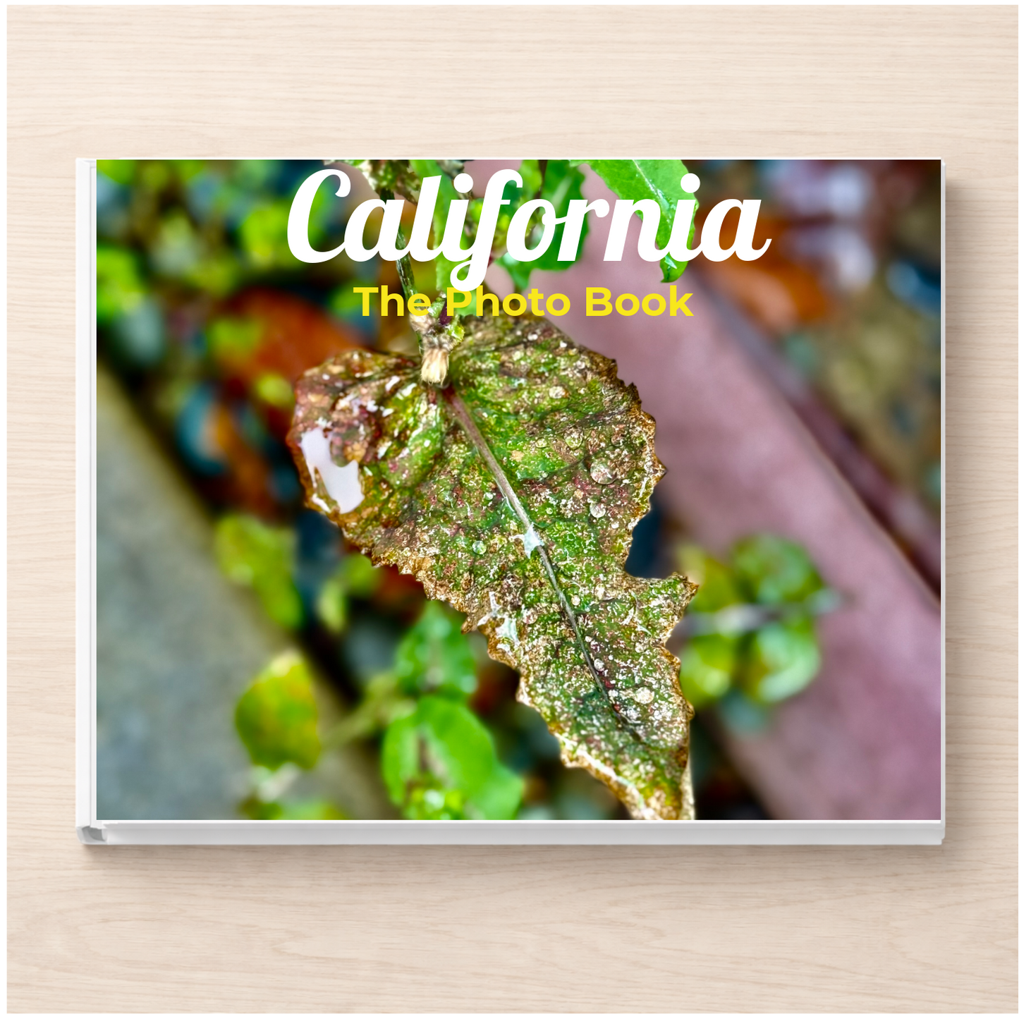 California: The Photo Book