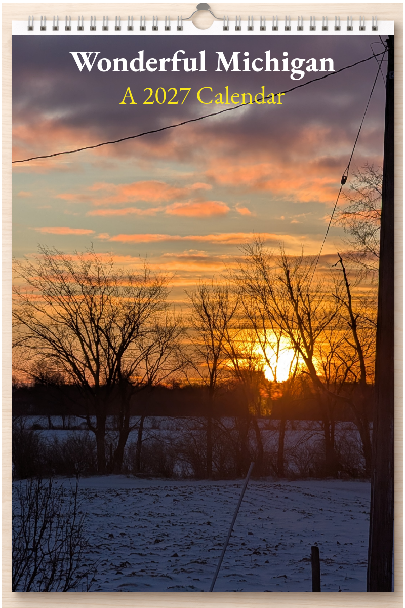 Wonderful Michigan: A 2027 Calendar