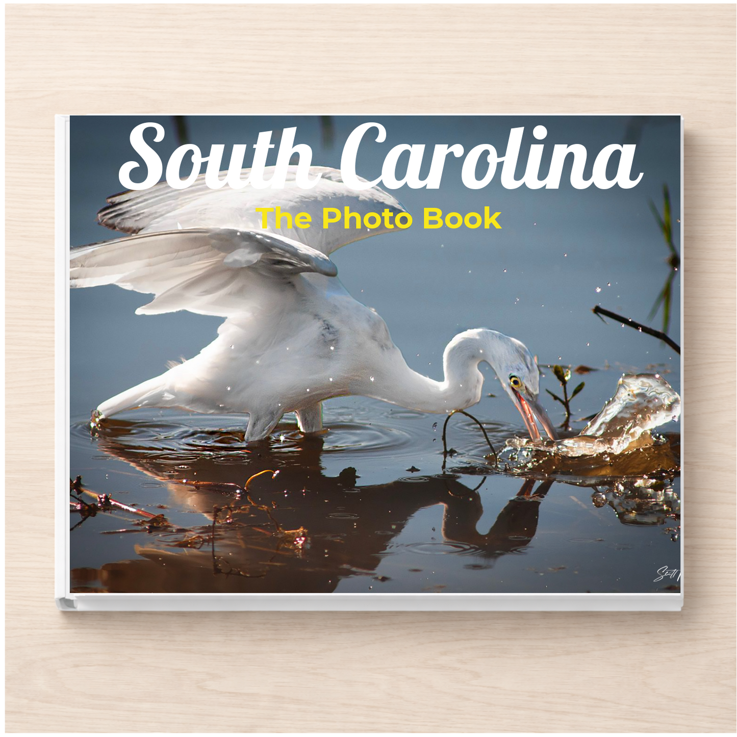 South Carolina: The Photo Book