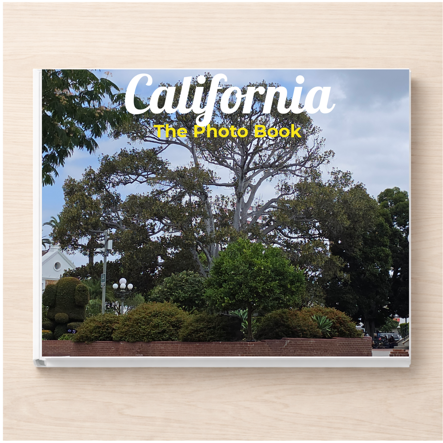 California: The Photo Book