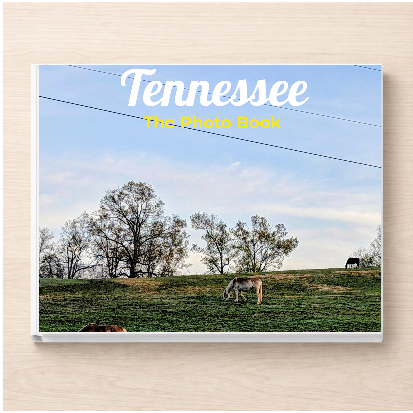 Tennessee: The Photo Book