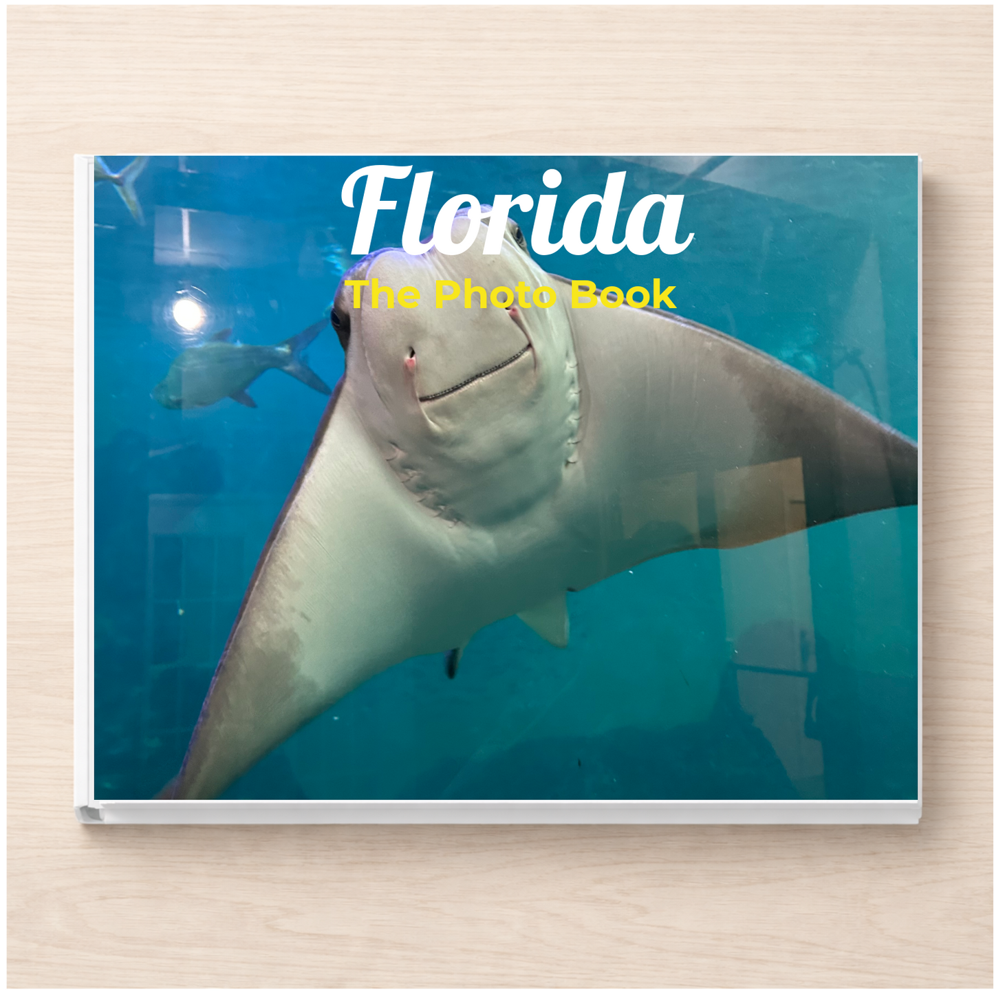 Florida: The Photo Book