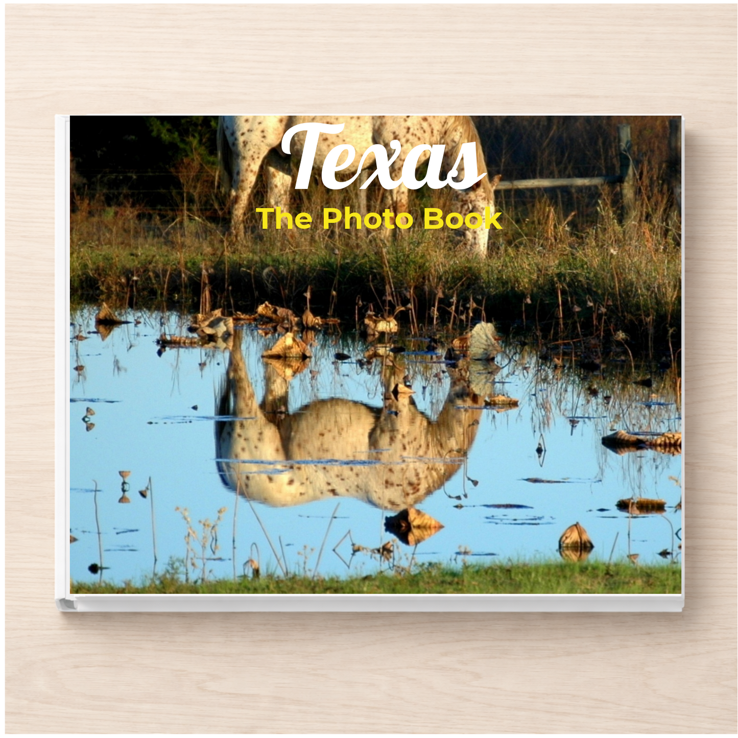 Texas: The Photo Book