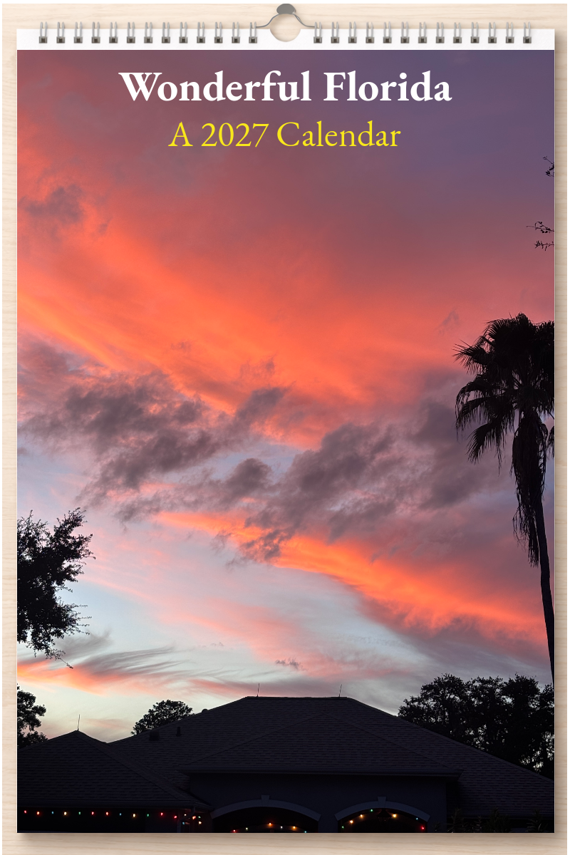 Wonderful Florida: A 2027 Calendar