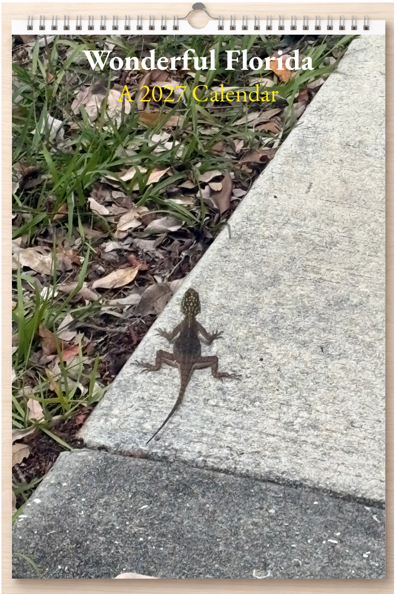 Wonderful Florida: A 2027 Calendar