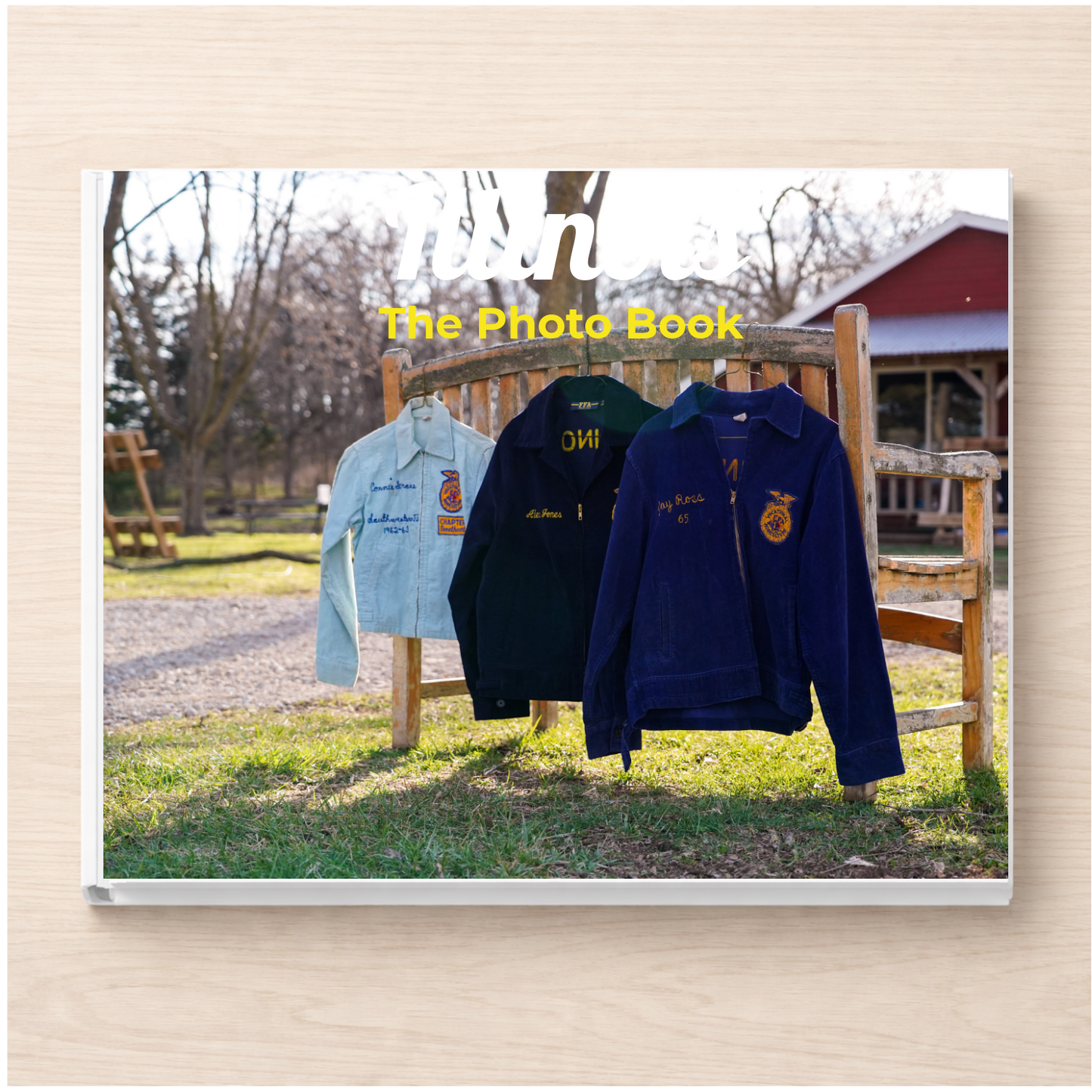 Illinois: The Photo Book