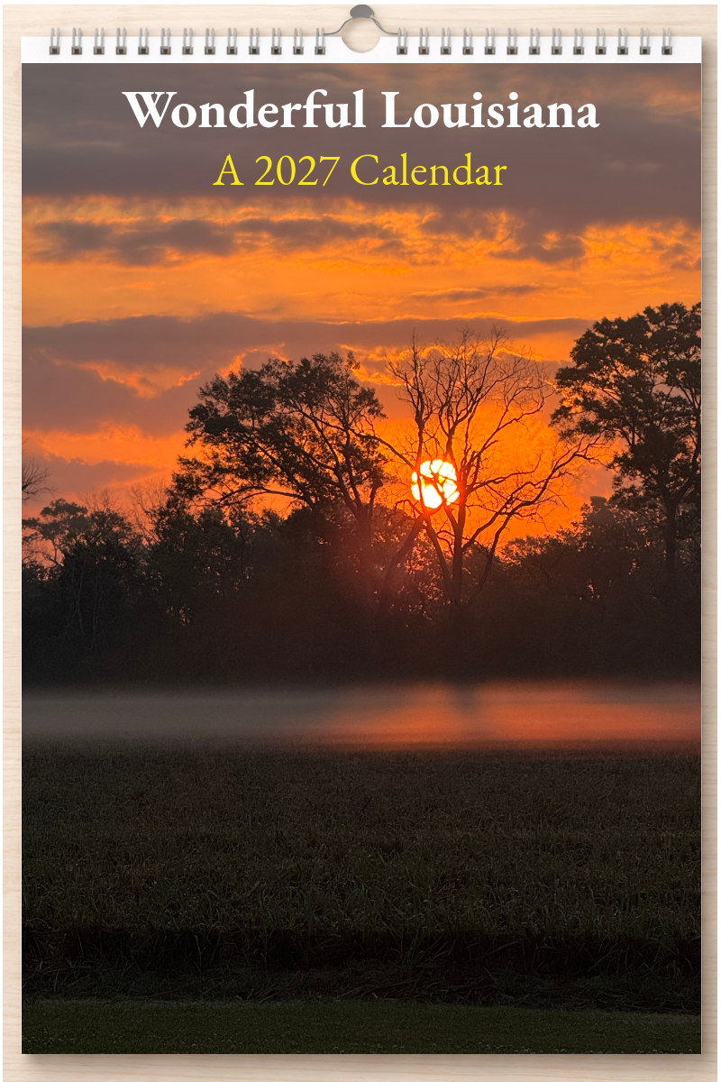 Wonderful Louisiana: A 2027 Calendar