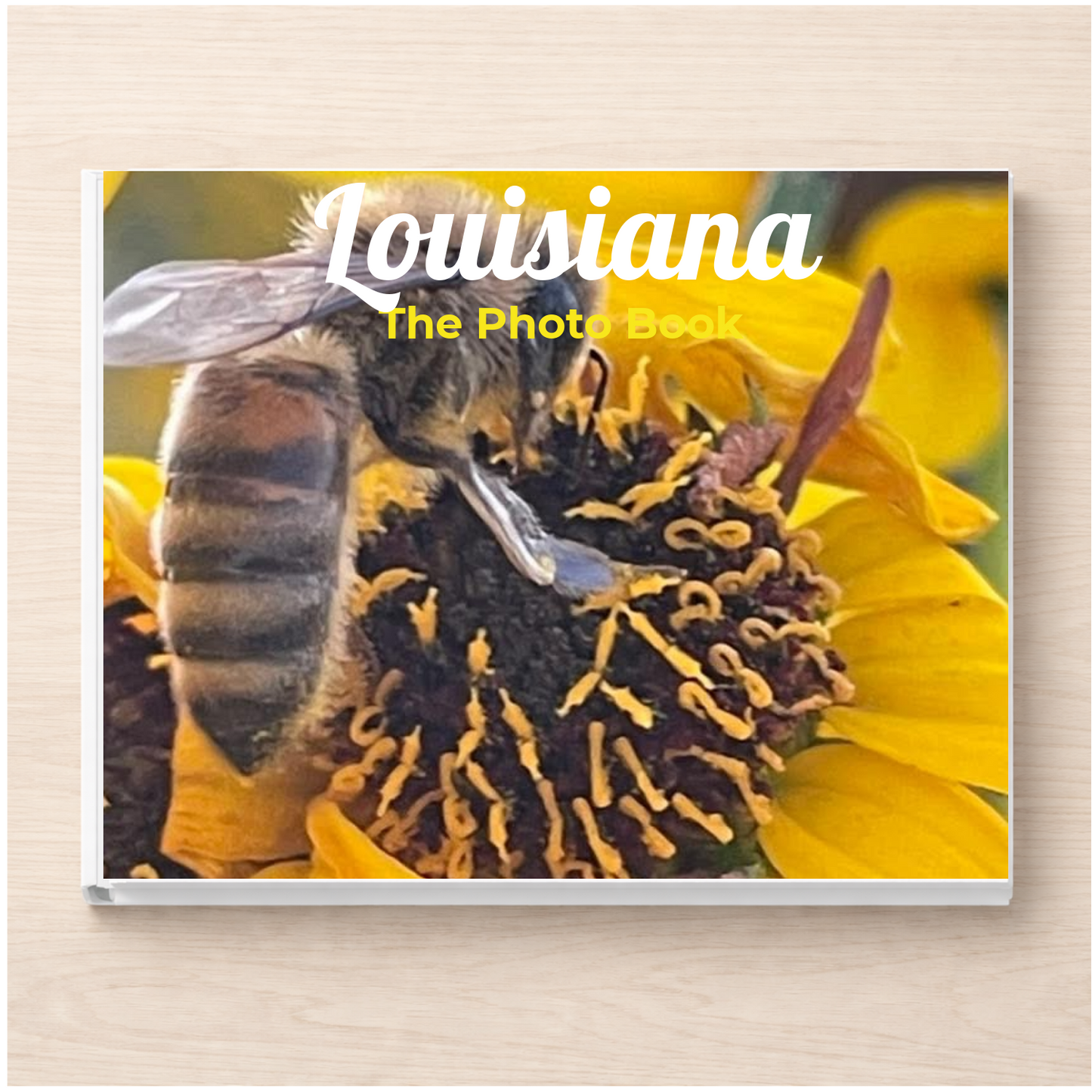 Louisiana: The Photo Book