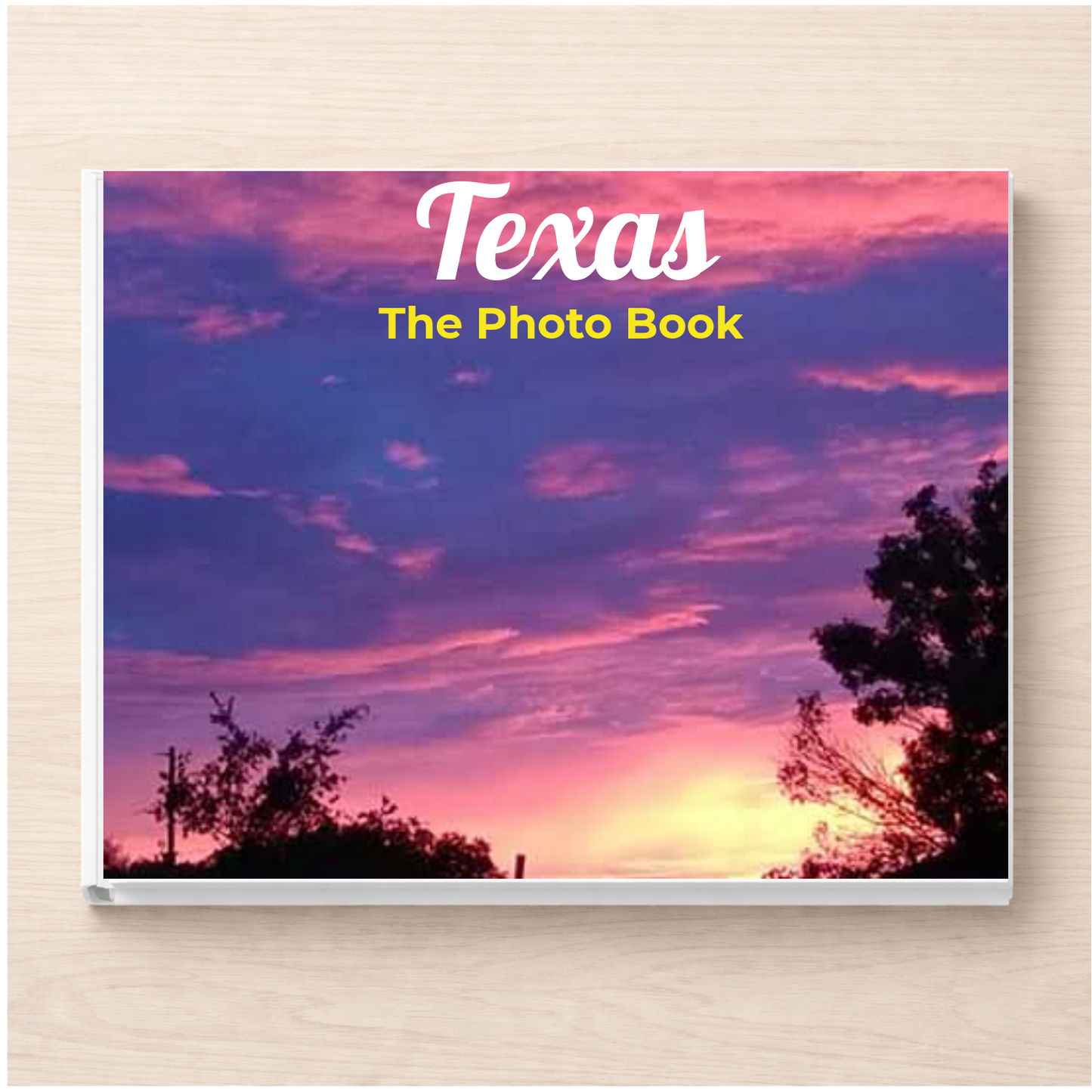 Texas: The Photo Book