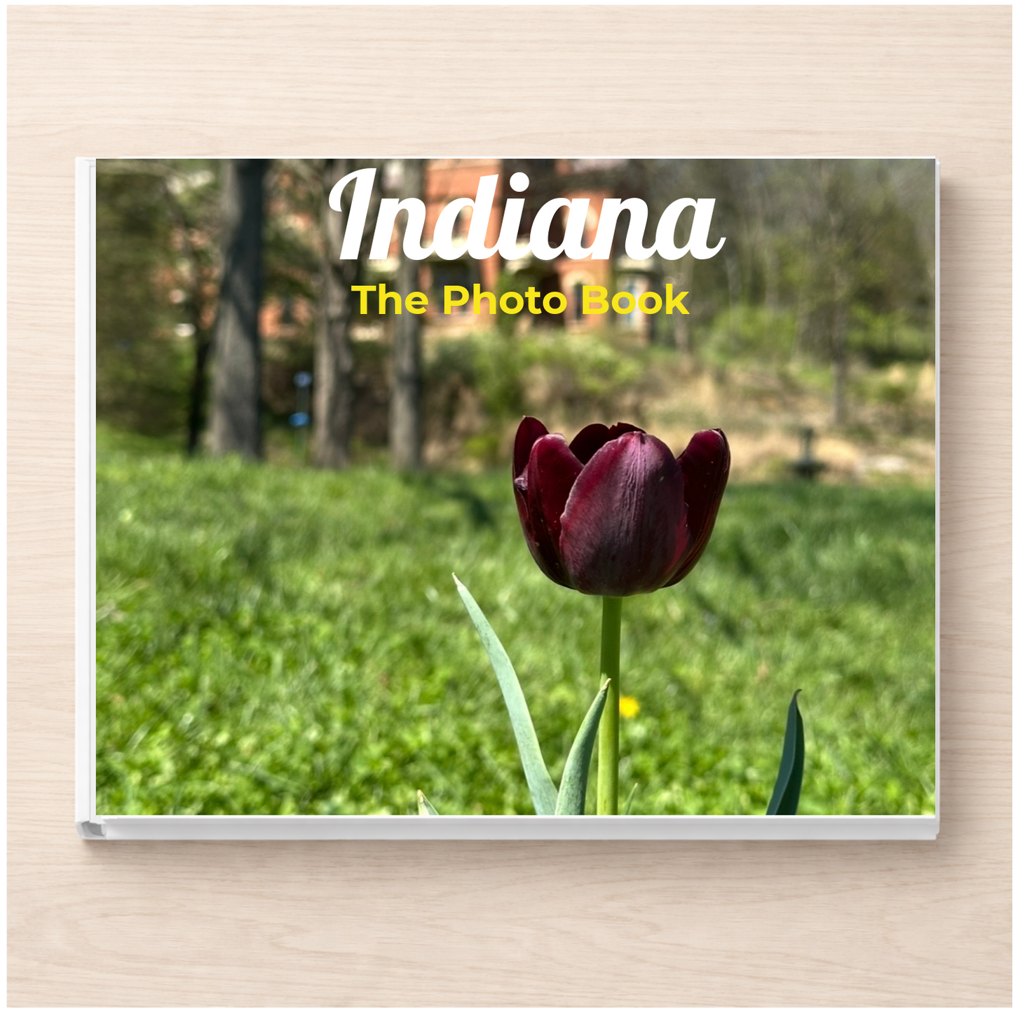 Indiana: The Photo Book
