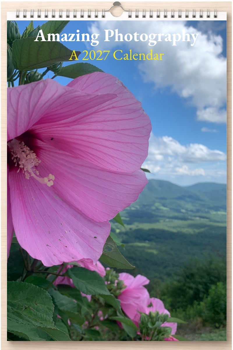 Amazing Photography: A 2027 Calendar