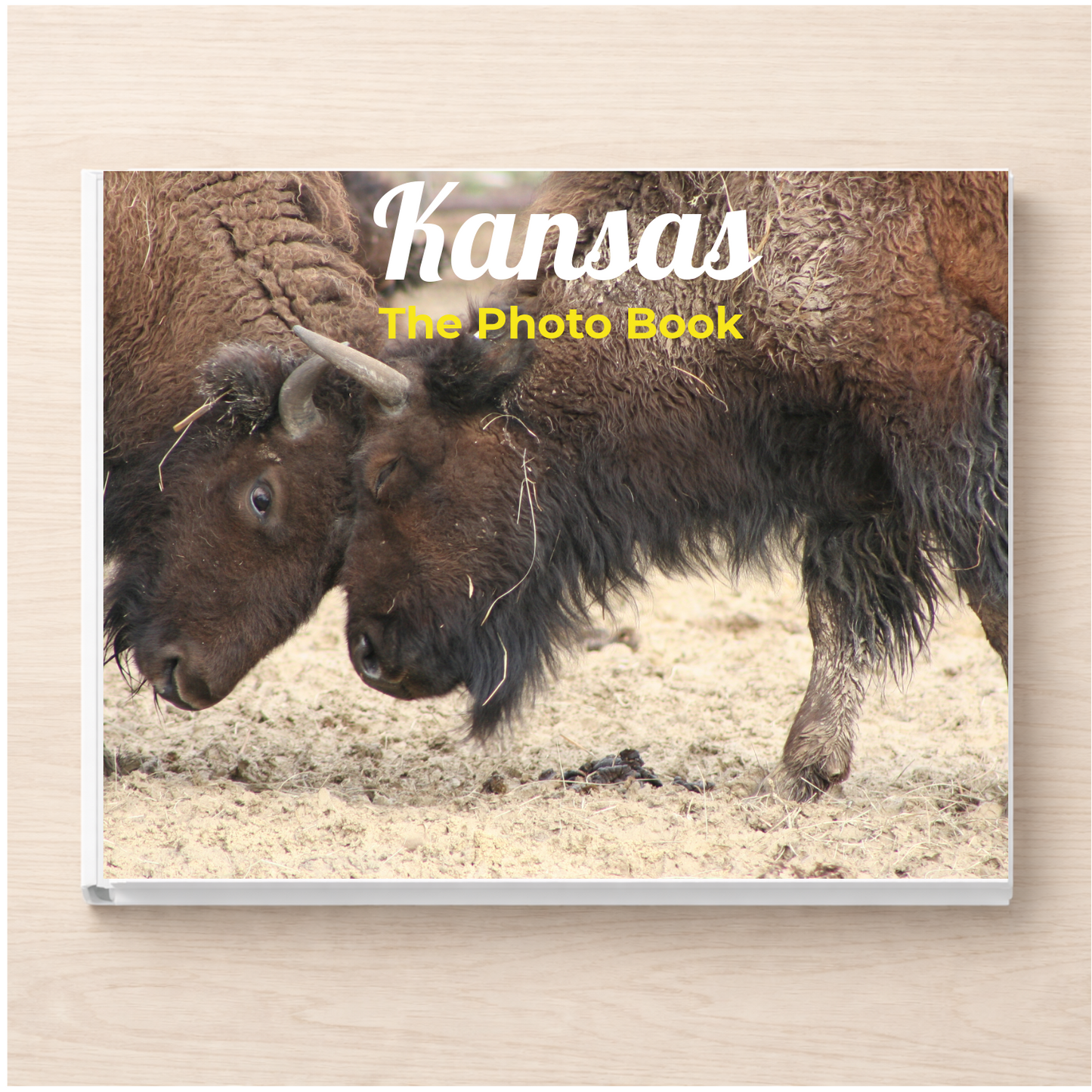 Kansas: The Photo Book