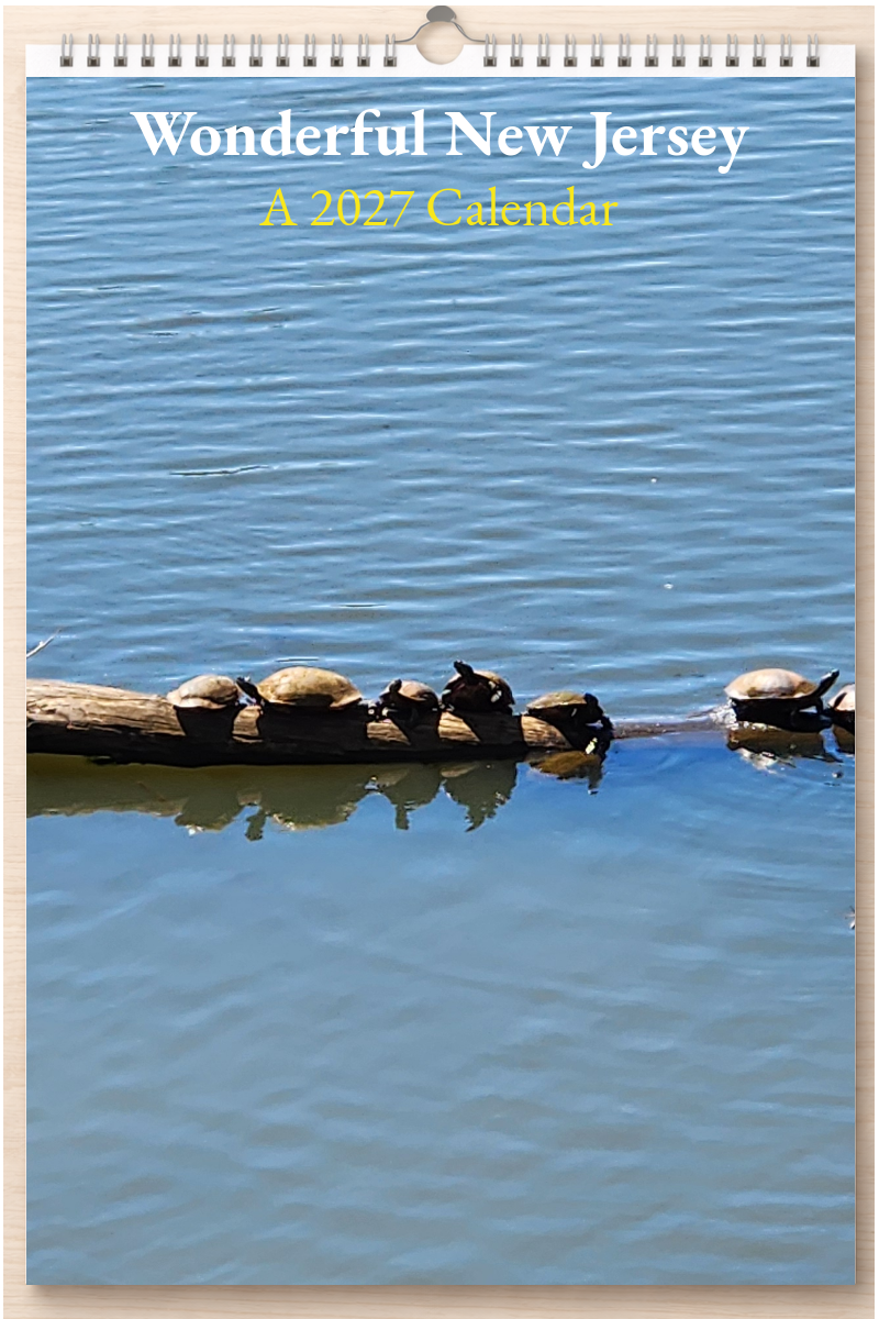 Wonderful New Jersey: A 2027 Calendar