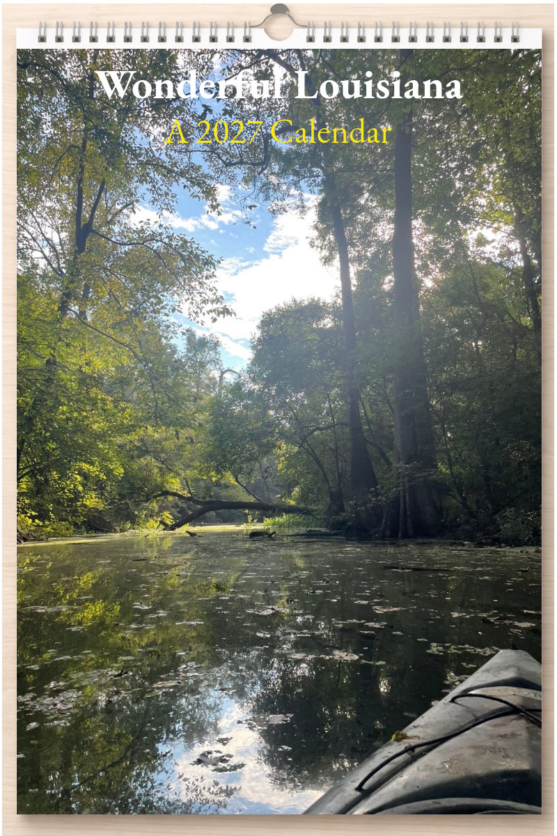 Wonderful Louisiana: A 2027 Calendar