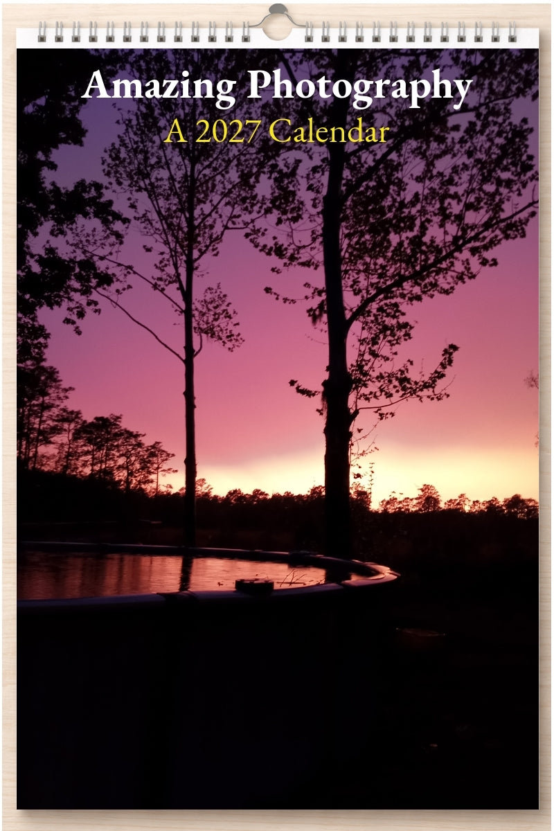 Amazing Photography: A 2027 Calendar